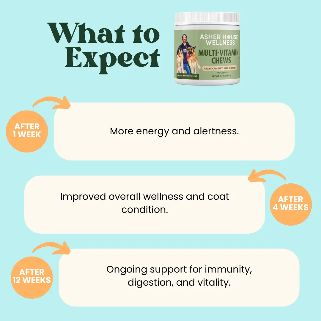 Multi-Vitamin Chews for Enhanced Energy and Immune Support
